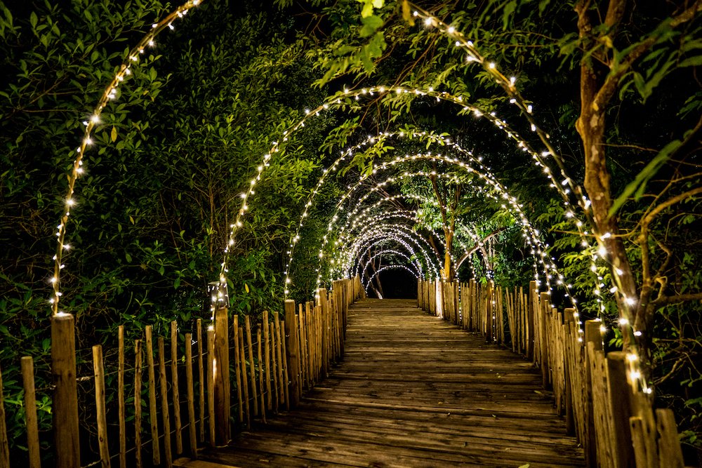 Lighting line hang on to the tree decor on to cave concept on the wood terrace walking way with darken around.